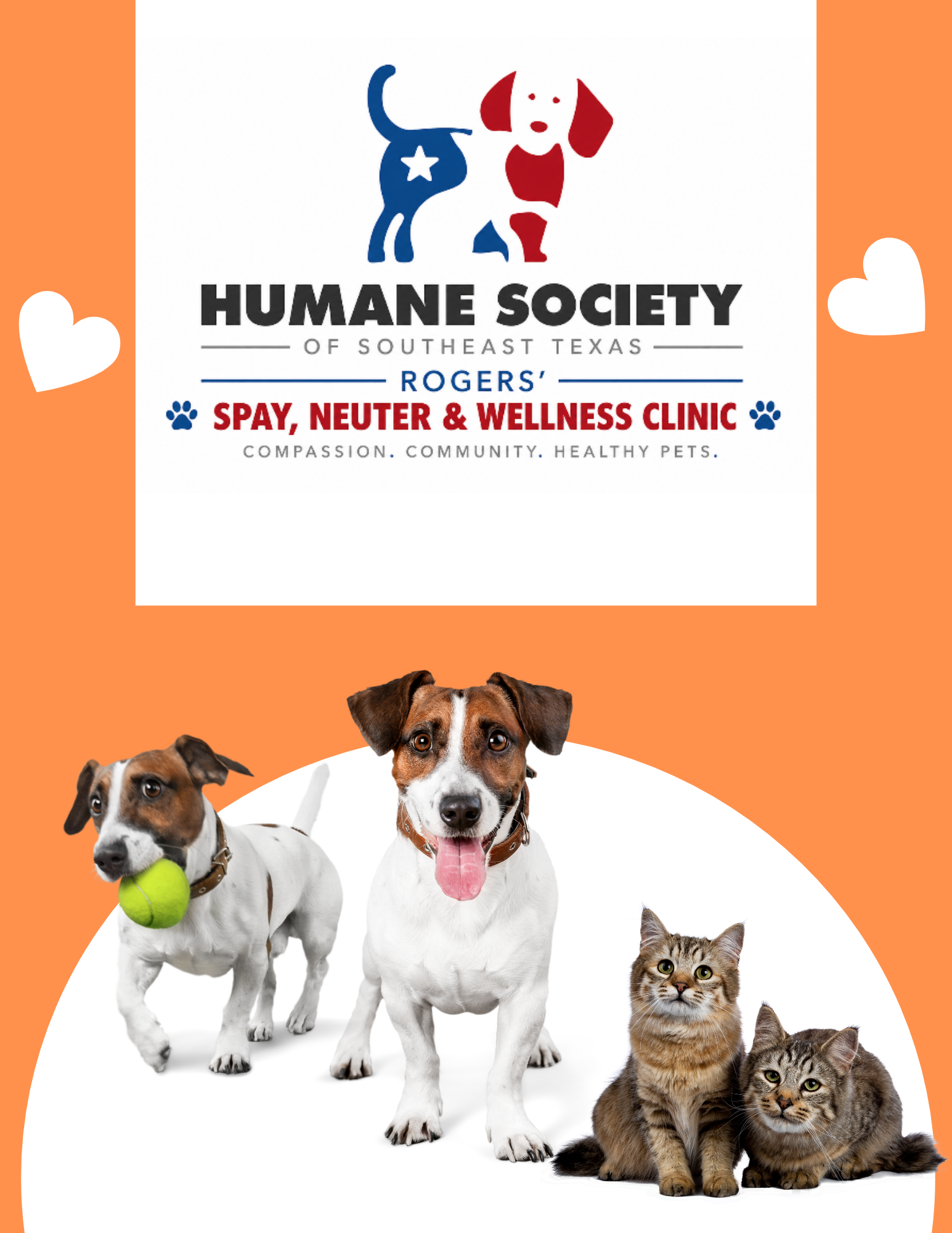 Orange National Love Your Pet Day Flyer